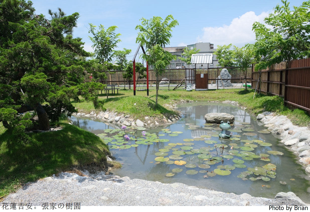 花蓮吉安張家的樹園。日式庭園、免費和服體驗、餵梅花鹿 @布萊恩:觀景窗看世界。美麗無限