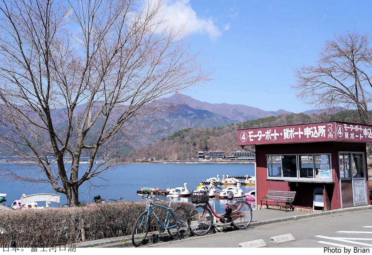 日本富士河口湖 Fujiyama Cookie。河口湖天上山纜車旁特色餅乾店 @布萊恩:觀景窗看世界。美麗無限