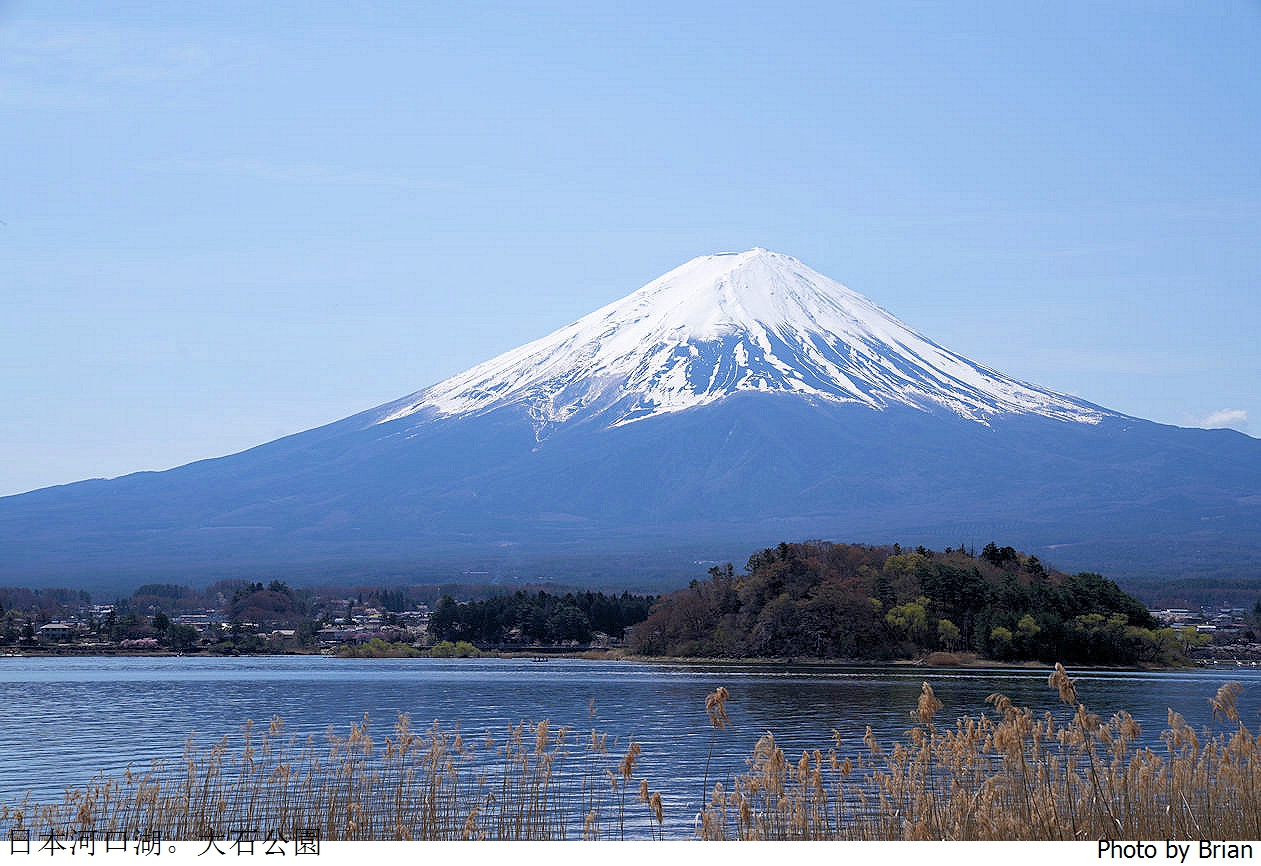 日本河口湖大石公園。欣賞壯闊富士山美景，早晨還可以拍逆富士 @布萊恩:觀景窗看世界。美麗無限