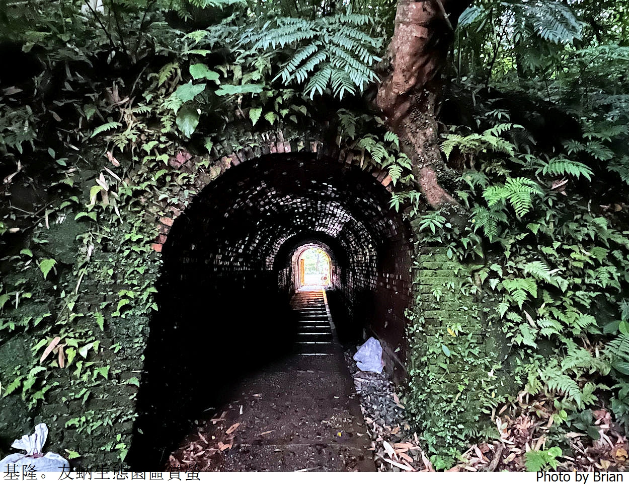 基隆賞螢秘境友蚋生態園區。穿過隧道輕鬆抵達賞螢秘境