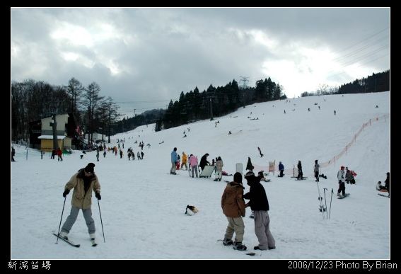 白色聖誕滑雪行-新瀉苗場 @布萊恩:觀景窗看世界。美麗無限