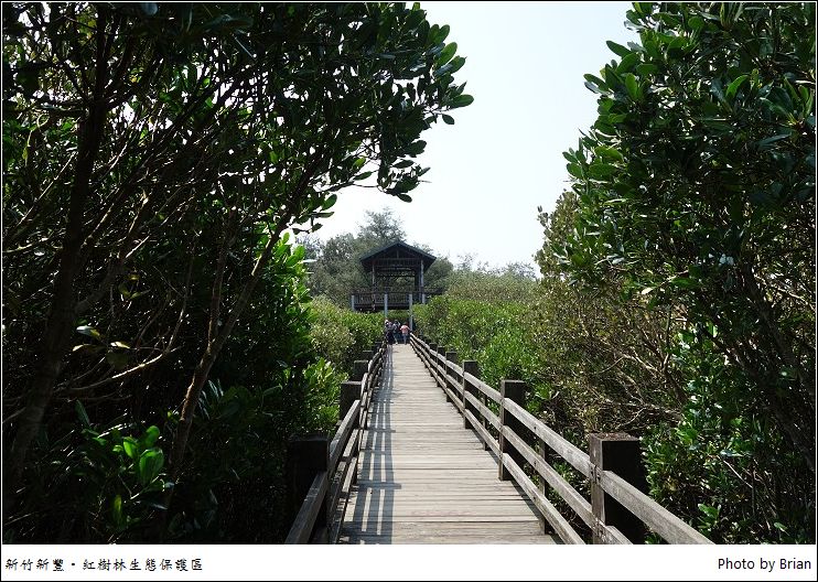新竹新豐紅毛港遊憩區。海濱生物的秘密樂園紅樹林生態保護區 @布萊恩:觀景窗看世界。美麗無限