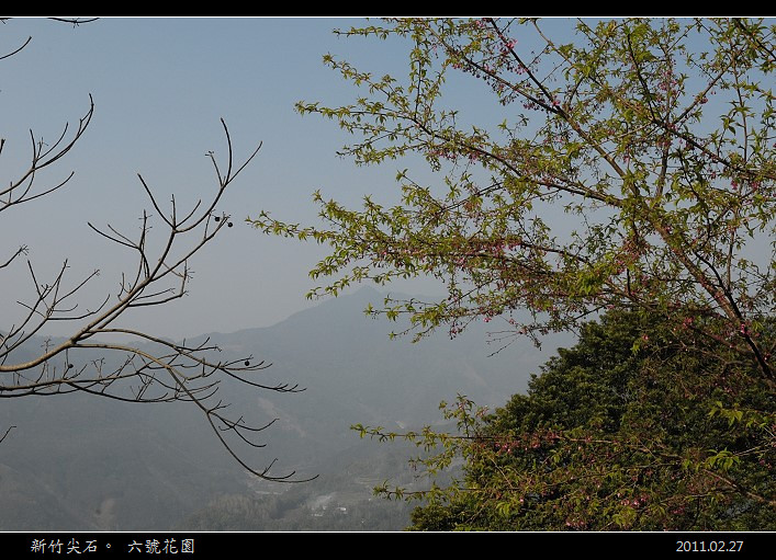 新竹尖石。六號花園 @布萊恩:觀景窗看世界。美麗無限