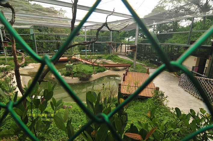 新竹親子庭園餐廳玩沙溜滑梯還可賞鳥。森林鳥花園 @布萊恩:觀景窗看世界。美麗無限