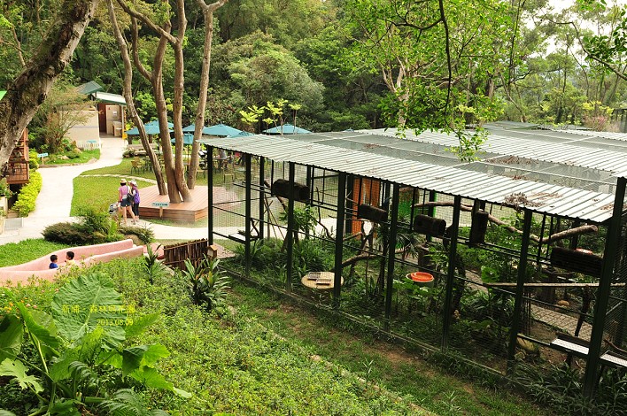 新竹親子庭園餐廳玩沙溜滑梯還可賞鳥。森林鳥花園 @布萊恩:觀景窗看世界。美麗無限