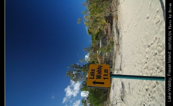 東澳昆士蘭玩水之旅-Fraser Island Part.3 @布萊恩:觀景窗看世界。美麗無限