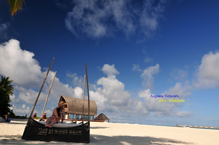 馬爾地夫。Angsana Velavaru 本島閒晃之二 @布萊恩:觀景窗看世界。美麗無限