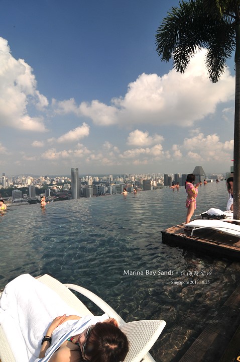 大仁哥我終於來找你了。新加坡濱海灣金沙酒店(Marina Bay Sands) @布萊恩:觀景窗看世界。美麗無限