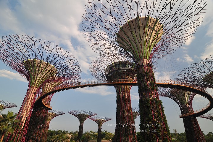 新加坡新景點。濱海灣公園(Gardens by the Bay) @布萊恩:觀景窗看世界。美麗無限