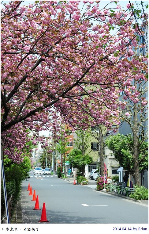 日本東京自由行。濱町公園甘酒橫丁賞櫻去 @布萊恩:觀景窗看世界。美麗無限