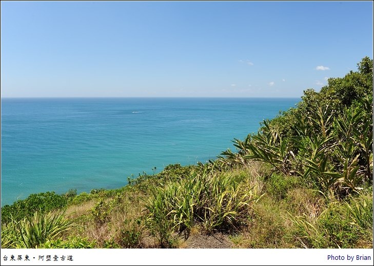 台東阿塱壹古道。台灣最後的原始海岸森林淨土(下) @布萊恩:觀景窗看世界。美麗無限