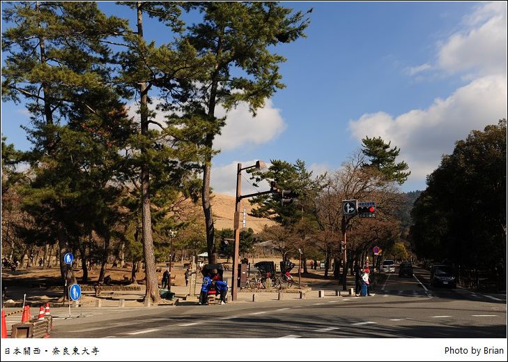 日本關西大阪奈良行。世界遺產奈良公園東大寺 @布萊恩:觀景窗看世界。美麗無限
