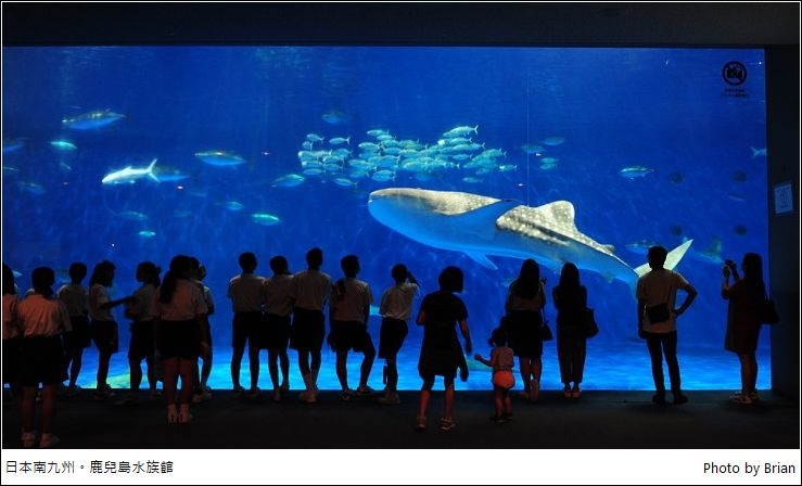 日本南九州鹿兒島親子景點。鹿兒島水族館看鯨鯊、海豚 @布萊恩:觀景窗看世界。美麗無限