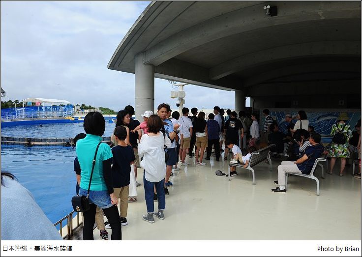 日本沖繩美麗海水族館。沖繩必訪景點，餵海豚、Ocean Cafe 魚缸邊用餐超讚 @布萊恩:觀景窗看世界。美麗無限