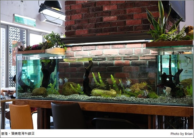基隆藻樂趣海藻創意美食海科館店。無違和海藻入料甜點令人驚艷 @布萊恩:觀景窗看世界。美麗無限