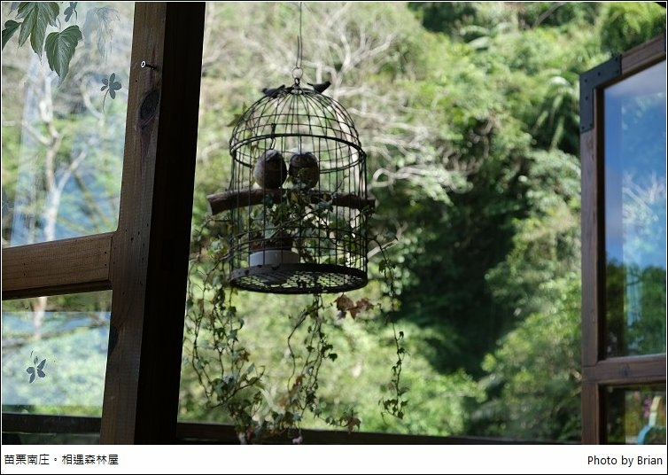 苗栗南庄相遇森林屋。隱藏深山裡面的可愛咖啡館 @布萊恩:觀景窗看世界。美麗無限