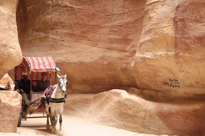 Petra。想騎什麼都可以選 @布萊恩:觀景窗看世界。美麗無限